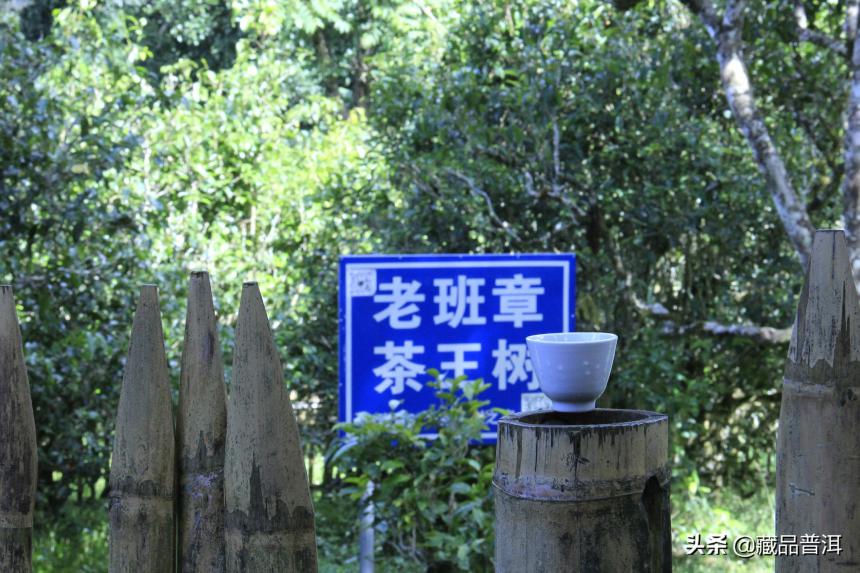 普洱茶品牌茶VS山头茶孰优孰劣？两者如何选择？老茶客这样说